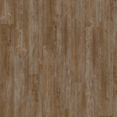 PVC vloer Moduleo Transform Latin Pine 24852